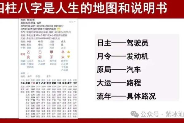 与1958年出生的人相伴的命运之旅：探寻人生和命理的奥秘