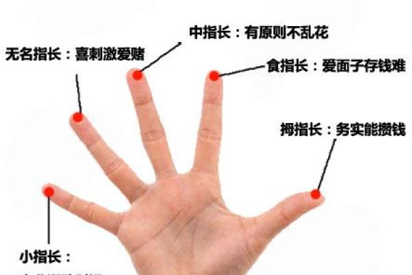手指无螺，命理背后的深意与启示