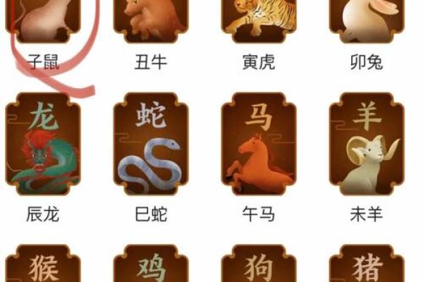 141年属相解析：深度解读鼠年命运与个性特征