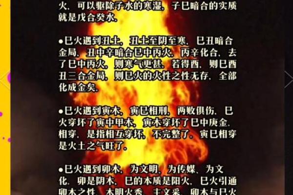 探索2019年属性与命运的深层次联系，揭示人生的奥秘与智慧