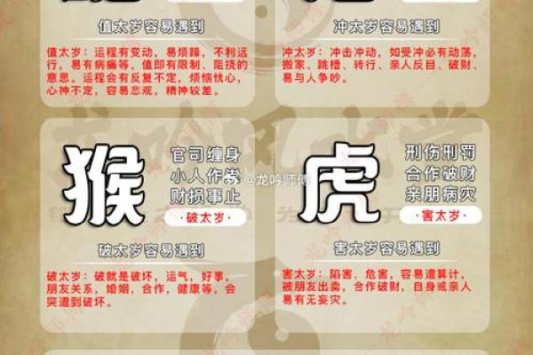 己巳年蛇年命运解析：如何把握机遇，迎接辉煌人生？