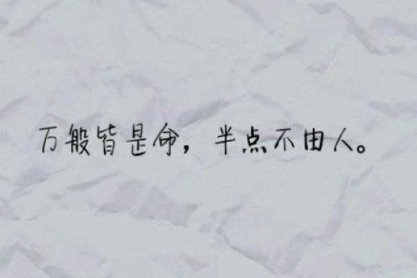1977年土命的命理解析：探寻稳重坚实的人生轨迹