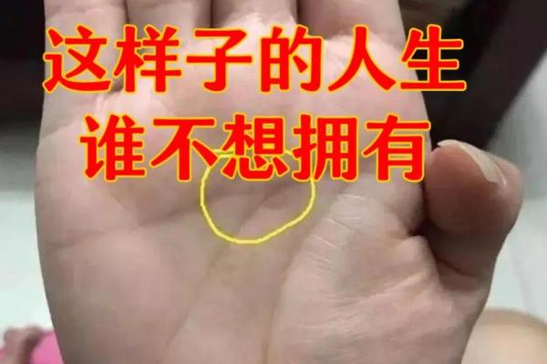 透过手掌看未来：掌纹解读你的人生轨迹与性格特色