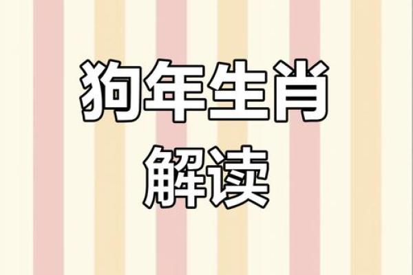 1958年狗年：从生肖看命理运势与人生命运的秘密
