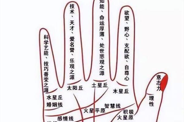 手相秘籍：小指分开的秘密揭示你的命运与性格