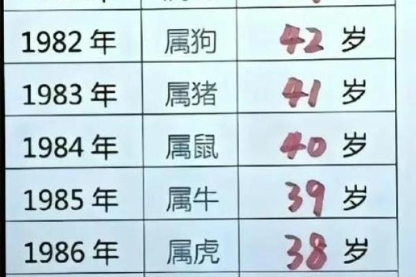 2036年是哪种龙？揭秘龙年命理与人生轨迹