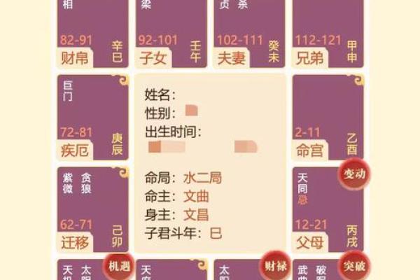 根据生辰八字揭示你的生肖命运，探索人生之路！