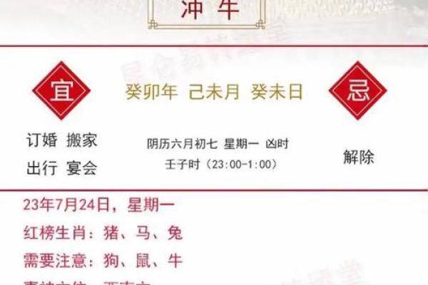 生肖属兔：探秘兔年之人的命理与性格特征