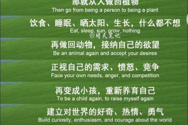 是什么命，生活的意义为何不依赖于食物？