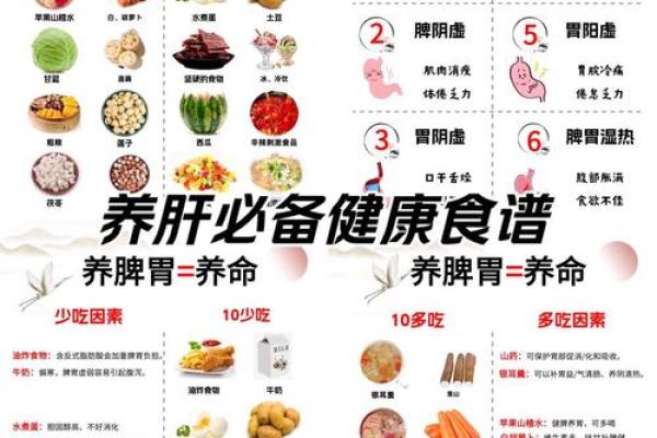 是什么命，生活的意义为何不依赖于食物？