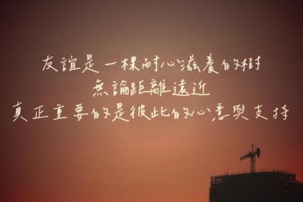 真正的过命友情：超越生命的深厚纽带