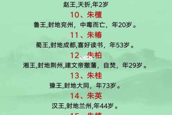 朱元璋九五命格探秘：历史中的命运与成就之路