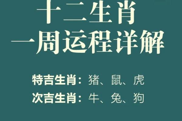 探索属相与命运的奥秘：悦闻天下揭示每个生肖的独特命理