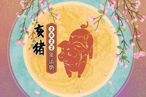 26岁属猪的命运与人生启示：从生肖解析看你的未来