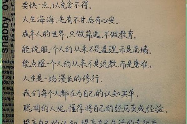 深入解析：命的真谛与人生的运程之道