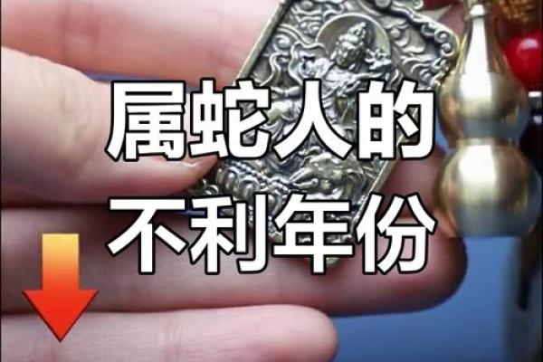 2023年属蛇人的运势解析与发展机遇