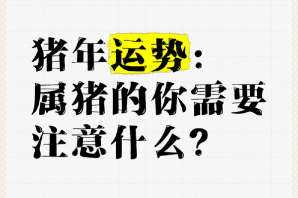 属猪人明天的运势解读：命运与性格的完美结合