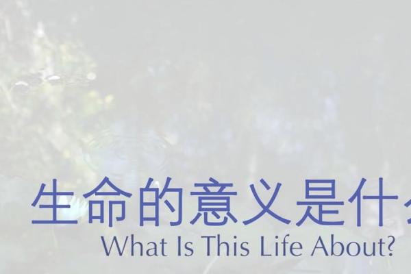 50岁后的生命意义：探索生活的深度与死亡的思考