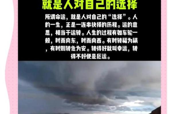 1993年命年：马年与您命运的奇妙结合