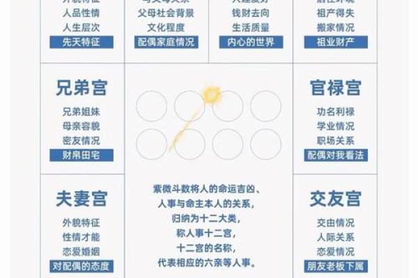 命局很强的秘密：探讨命理学中的命盘特征与潜在影响