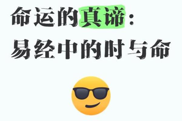 命修的真谛：探索自我与命运的交织之道