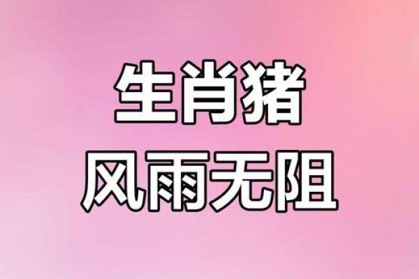 1971年属猪的命运解析：勇敢前行的生活智慧与人生指导