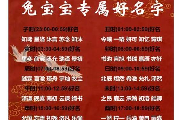 兔年正月出生宝宝的命理解析与未来发展