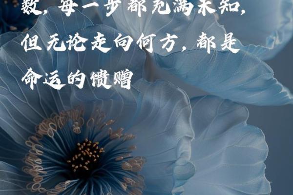 命太高的含义与人生启示：如何理解自己的命运