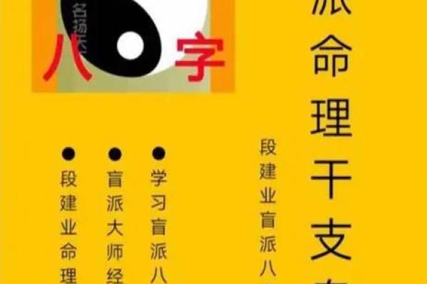 探秘命理软件源码的奥妙与应用价值，解读人生密码！