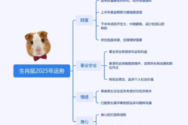 探究水鼠命的最佳工作方位与运势发展