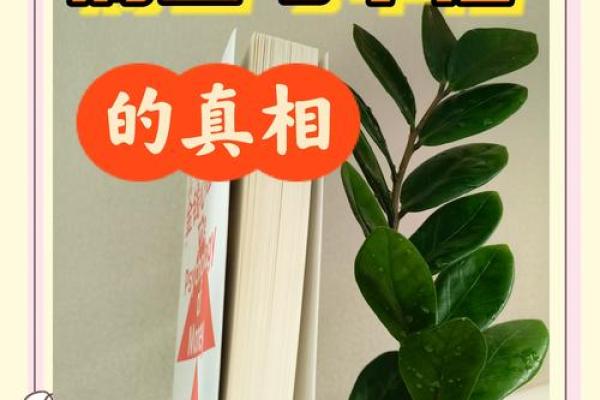 2012年龙年命运解析：揭示你的财富与幸福之路