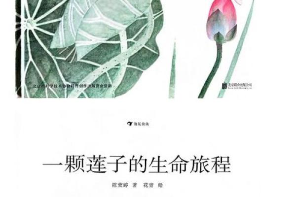 1999年：水命的奇妙旅程与人生哲学探讨