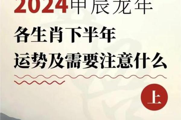 1987年出生的猪年命理解析：生而幸运，心怀梦想