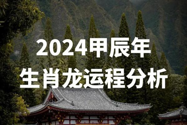 2024年属龙人运势解析：命理与未来的美好展望
