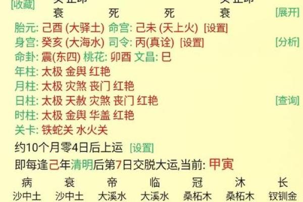 天上火的命理解析：哪些八字最具优势与机遇？