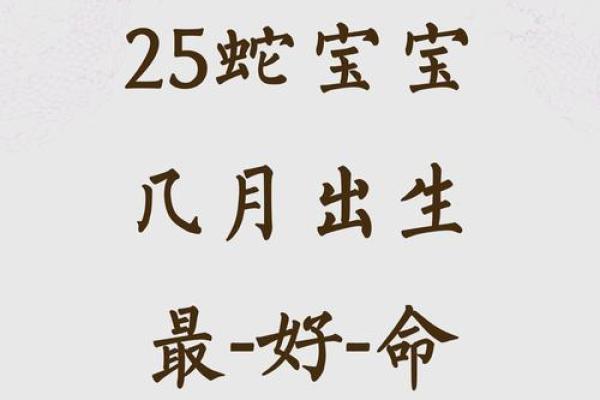 2012年蛇宝宝的命运解析：怎样利用优势走向成功