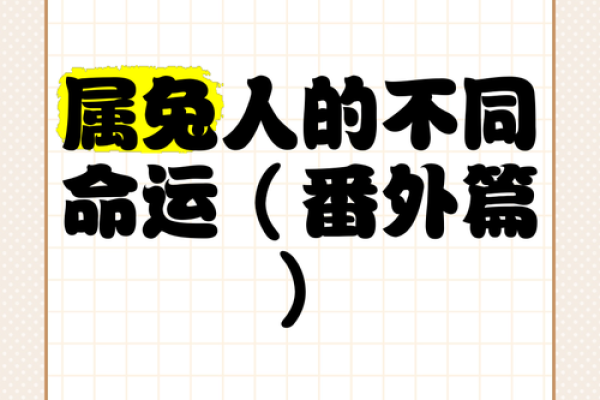 60岁兔子的命运：揭示属兔人的人生密码与幸福法则