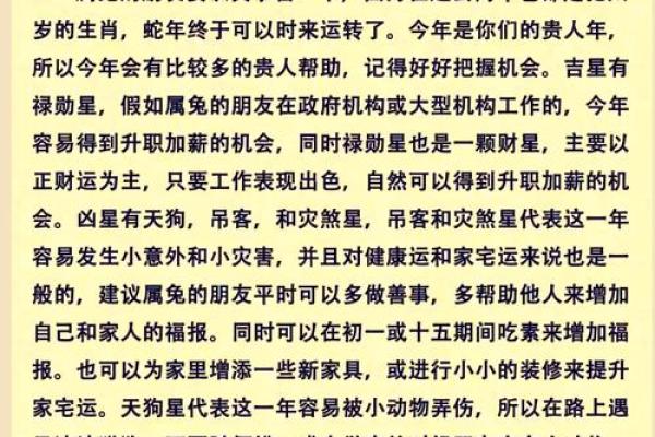 60岁兔子的命运：揭示属兔人的人生密码与幸福法则