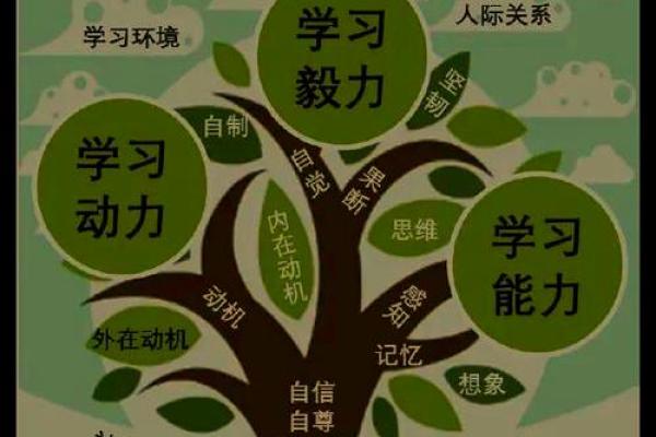揭秘“命kng”的深刻含义及其影响力