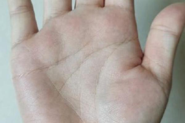 女命手纹解析：找到你心中的美丽与幸福