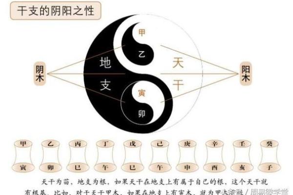 探索命理基础学校：开启您命运新篇章的钥匙