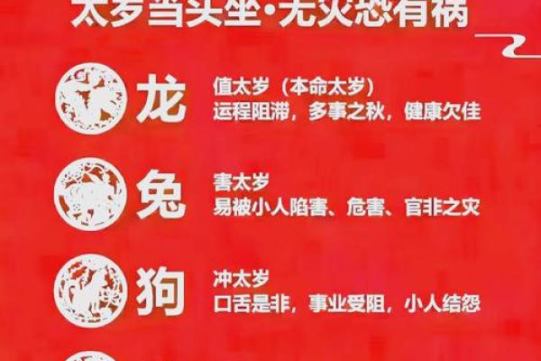 2010年金命虎的命理解析与运势提升建议