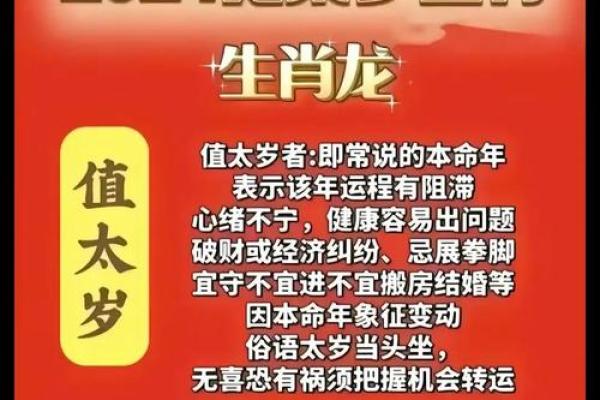 2010年金命虎的命理解析与运势提升建议