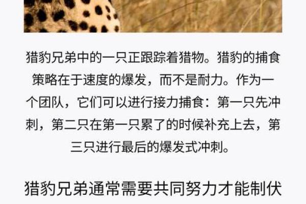 揭开生命的秘密：哪些动物活得最长久？
