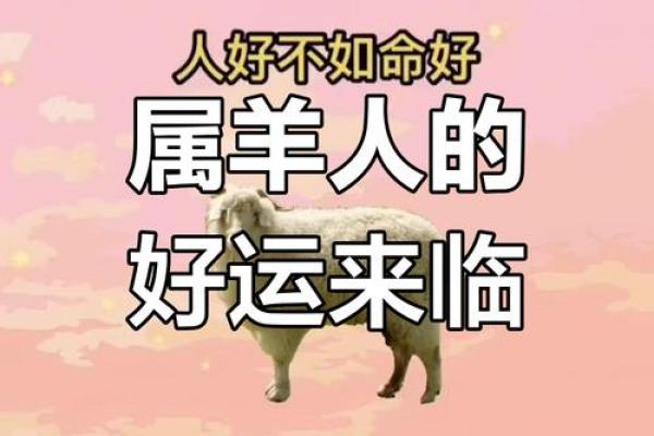 2027年羊年运势解析：羊儿的命运与事业发展全揭秘