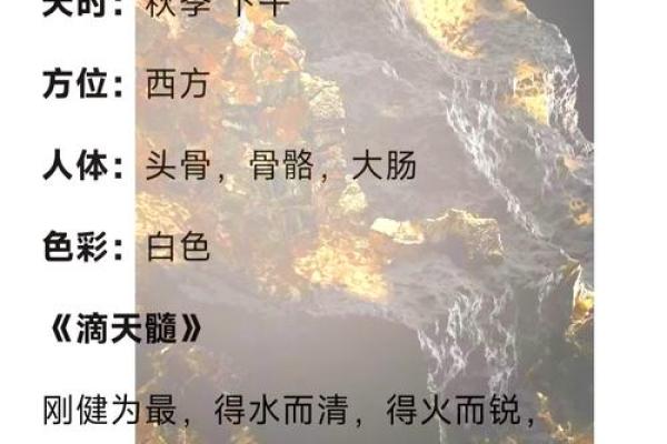 命格与机遇：了解赢家背后的秘密与智慧