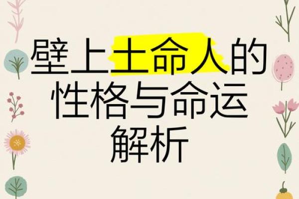 土命人适合的颜色与命运之关系探究