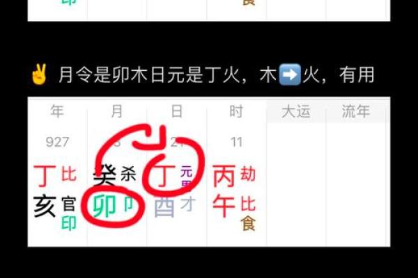 解析身弱木命与身强土命的命理特征与人生运势