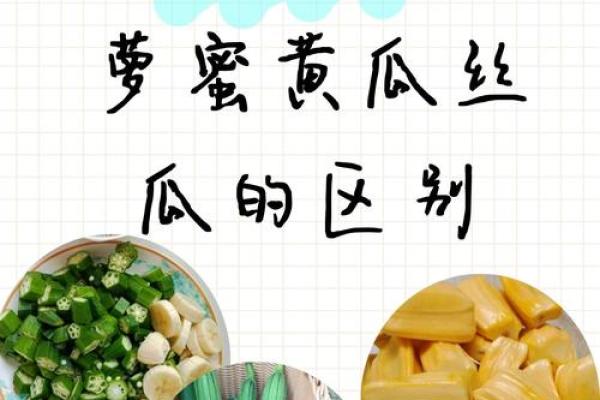探秘香蕉命：探索生命中的甜蜜与苦涩