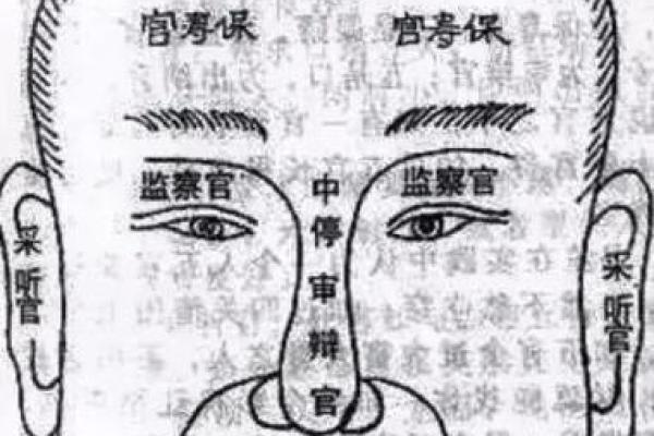 1990年出生的人命格解析：揭示你的命运特征与发展方向